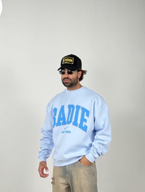 دورس BADIE